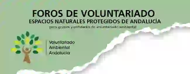 Foro-andaluz