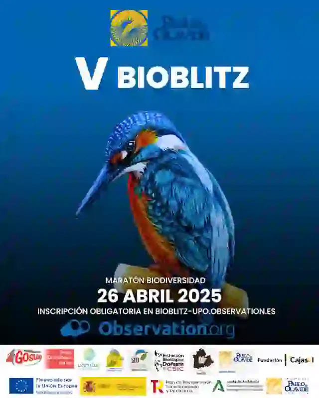 v-bioblitz-upo-2025